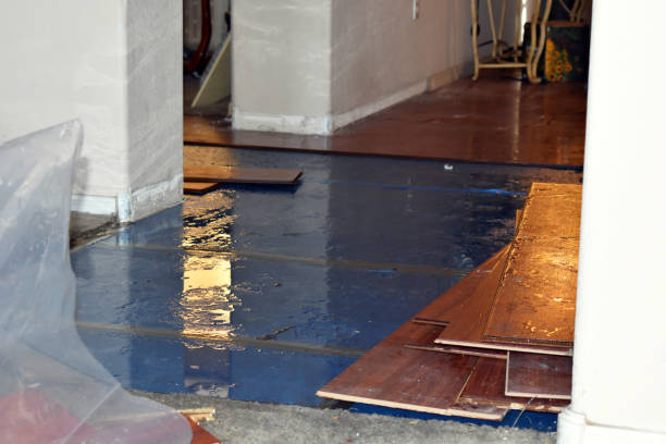 Professional Flood Damage Repair technician working in Goodells, MI